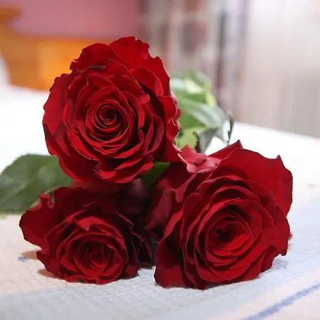 Haus Gugglberger * Hainzenberg