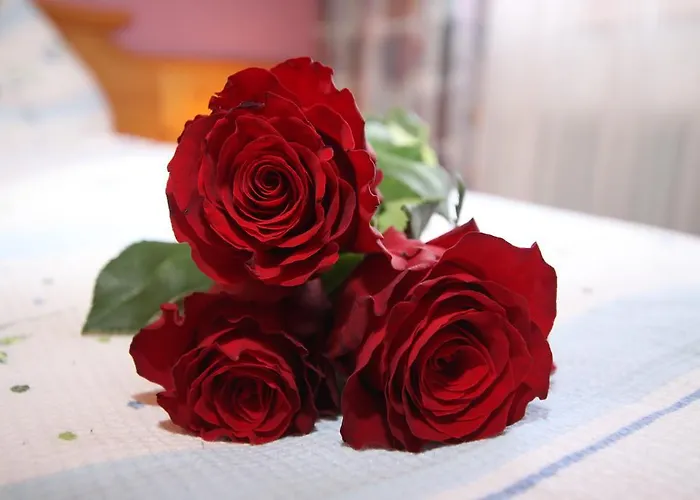 Haus Gugglberger * هينزنبرغ